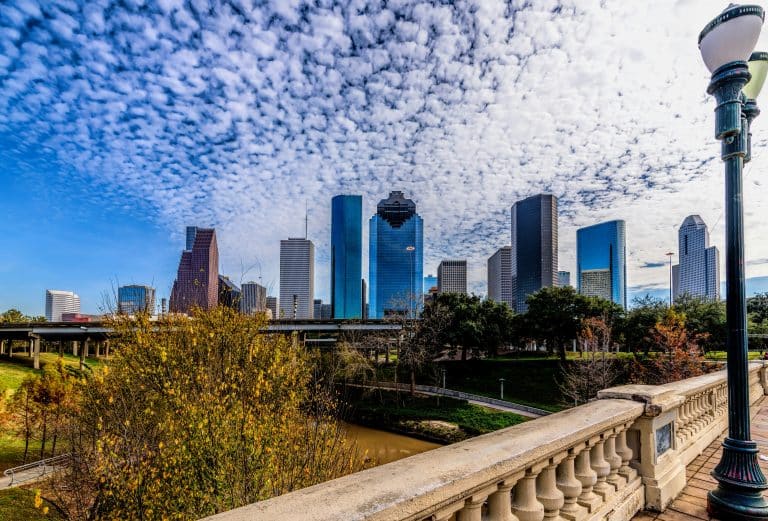 Houston skyline framed by fall foliage